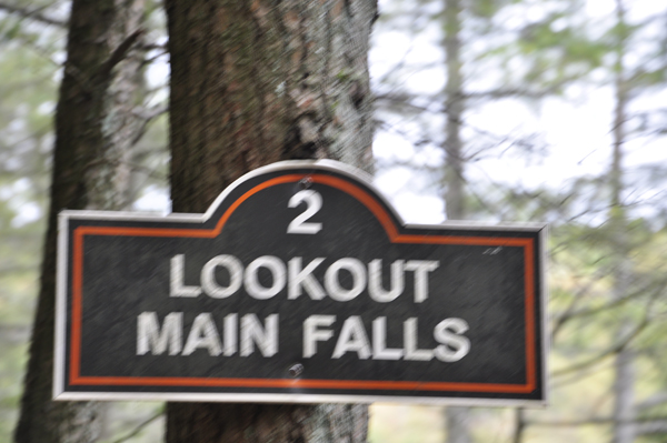 Lookout for Bushkill Falls sign